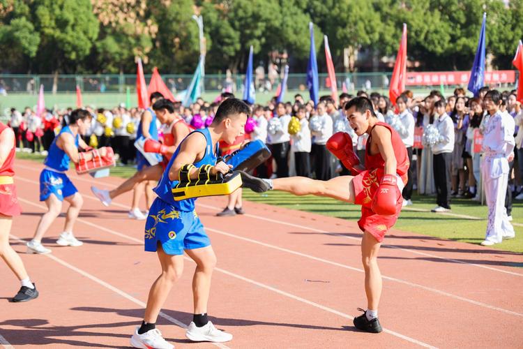 争顶能力的 争顶能力的