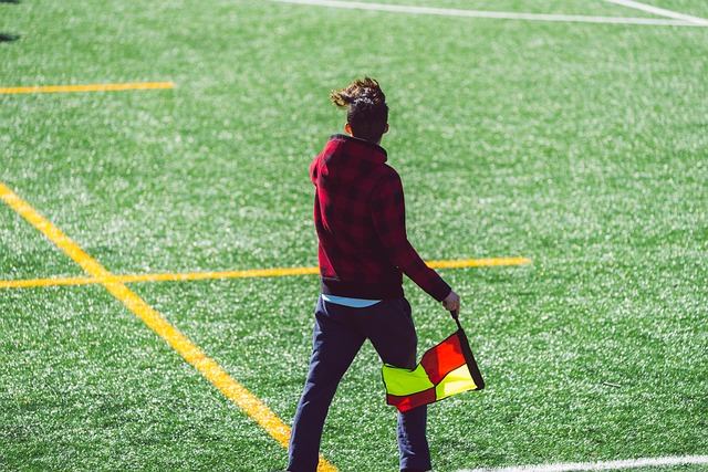 纳积累了宝 纳积累了宝