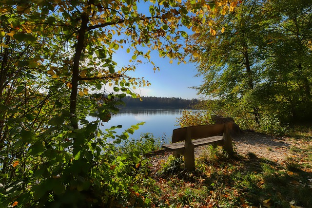 能提升自己 能提升自己