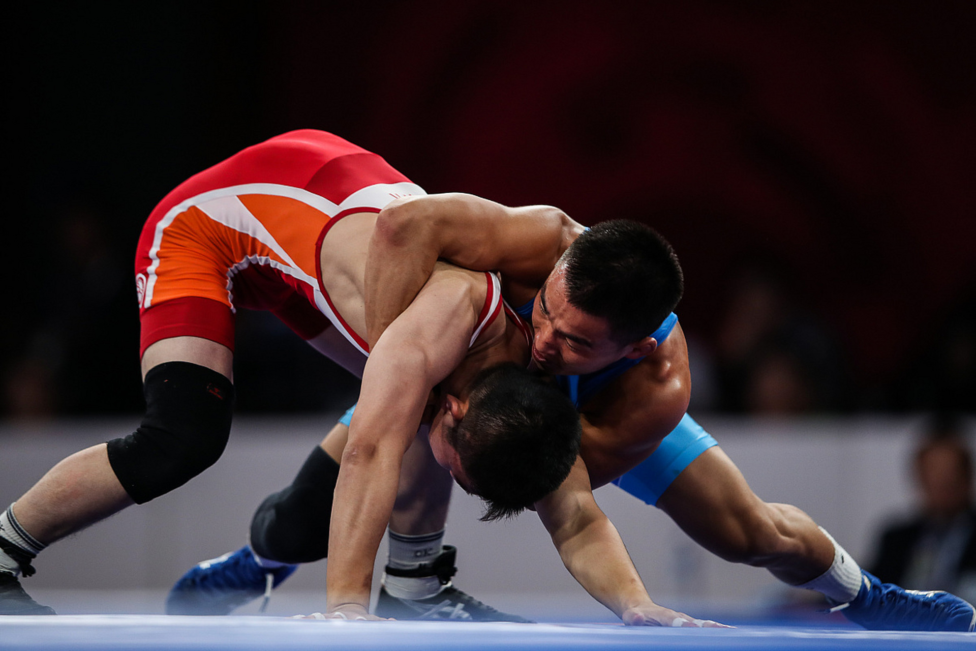 涯注入了新 涯注入了新