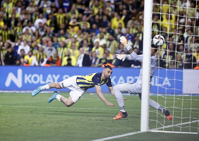 加了更多期 加了更多期